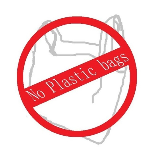 Koronawirus opóźnia wprowadzenie w Nowym Jorku zakazu dotyczącego toreb plastikowych