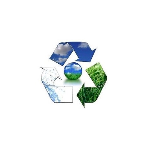 Queensland wprowadza zakaz jednorazowych plastikowych słomek i talerzy, aby ratować życie morskie
