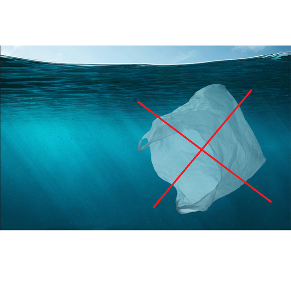 Korea Południowa zakazuje używania jednorazowych toreb plastikowych