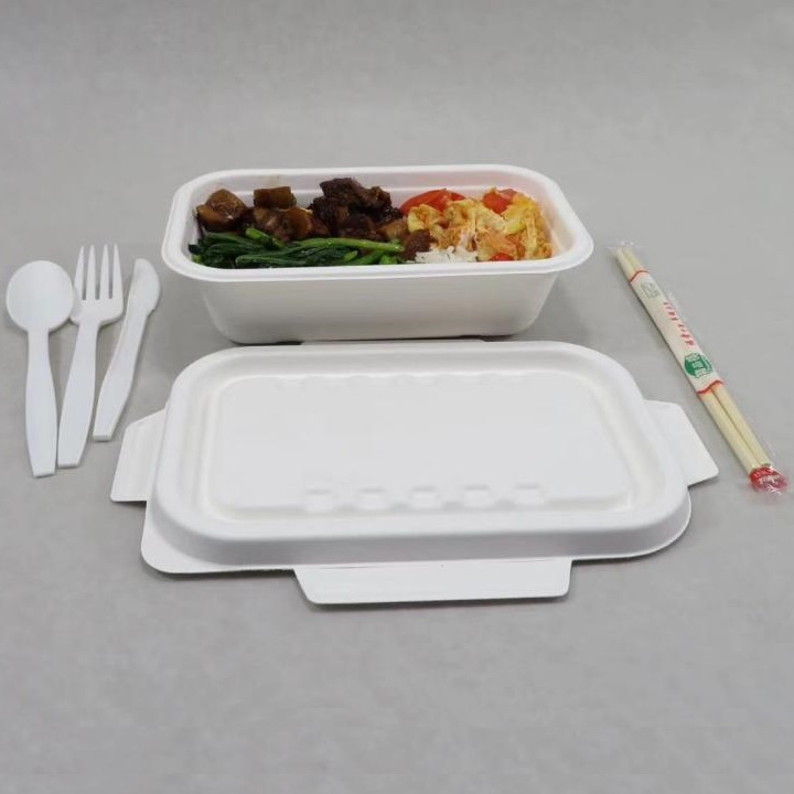 Konferencja firmy Shenglin Packaging dotycząca wymiany pudełek na zastawę stołową z bagasse